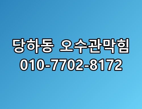 당하동 오수관막힘 010-7702-8172 직접 확인해봤어요
