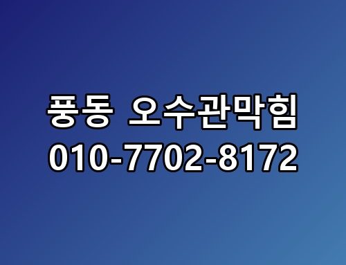 풍동 오수관막힘 010-7702-8172 진짜 이게 맞나 싶더라고요