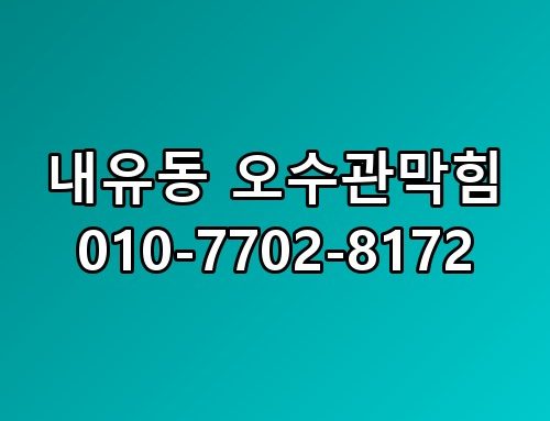 내유동 오수관막힘 010-7702-8172 이 방법이 훨씬 낫더라고요