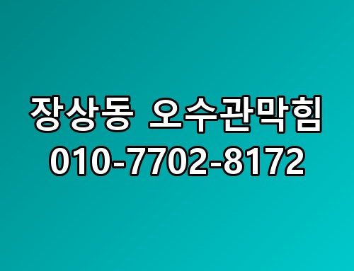 장상동 오수관막힘 010-7702-8172 지금 상황 정리해봤습니다