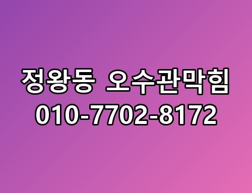 정왕동 오수관막힘 010-7702-8172 진짜 이게 맞나 싶더라고요