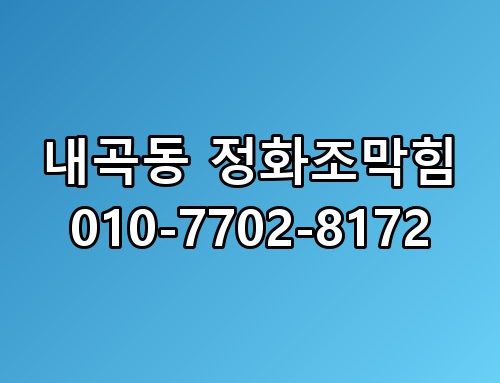 내곡동 정화조막힘 010-7702-8172 한번 짚어봐야 할 이야기