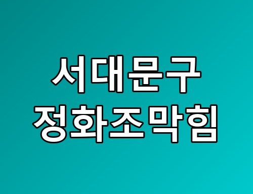 서대문구 정화조막힘 현장 상황 솔직히 전문가 부르는 게 답이네요