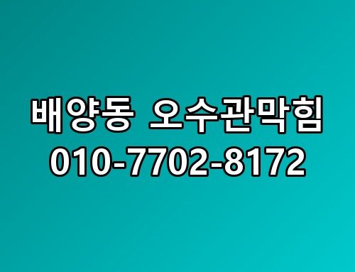 배양동 오수관막힘 010-7702-8172 해결 과정 보고 나니 속이 다