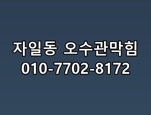 자일동 오수관막힘 010-7702-8172 직접 확인해봤어요