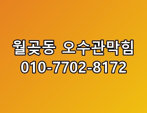 월곶동 오수관막힘 010-7702-8172 놓치면 후회할 포인트