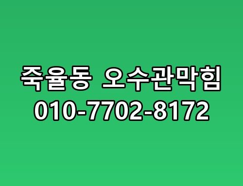 죽율동 오수관막힘 010-7702-8172 진짜 이게 맞나 싶더라고요