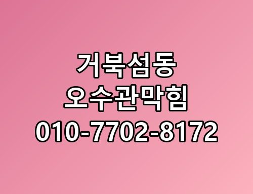 거북섬동 오수관막힘 010-7702-8172 진짜 이게 맞나 싶더라고요