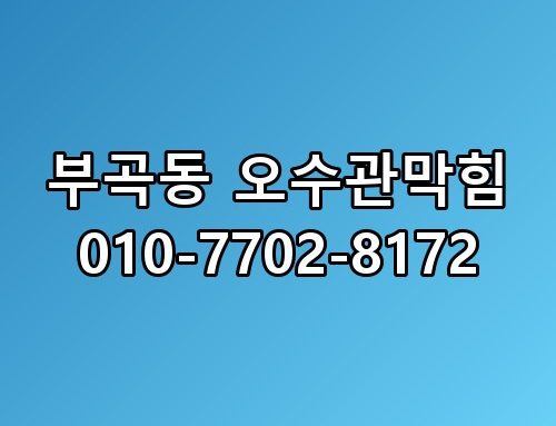 부곡동 오수관막힘 010-7702-8172 이 정도일 줄은 몰랐네요