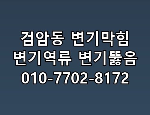 검암동 변기막힘 변기역류 변기뚫음 010-7702-8172 선택 이유