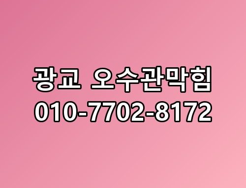 광교 오수관막힘 010-7702-8172 지금 상황 정리해봤습니다