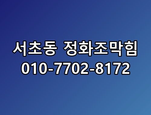 서초동 정화조막힘 010-7702-8172 이게 어떻게 된 일인지