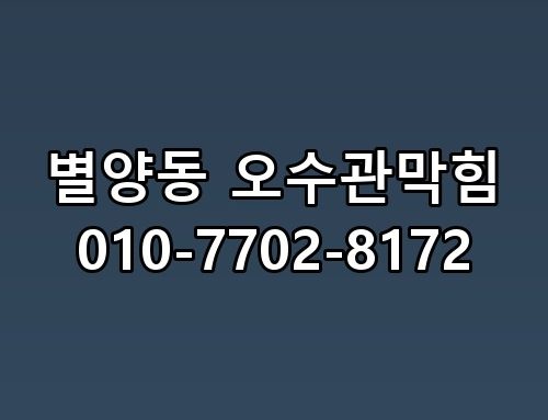 별양동 오수관막힘 010-7702-8172 해결 사례 현실은 이렇더라고요