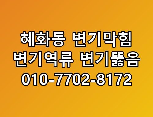 혜화동 변기막힘 변기역류 변기뚫음 010-7702-8172 실사용 후기