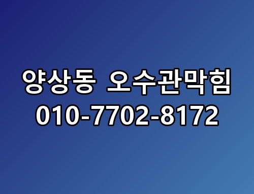 양상동 오수관막힘 010-7702-8172 이게 어떻게 된 일인지