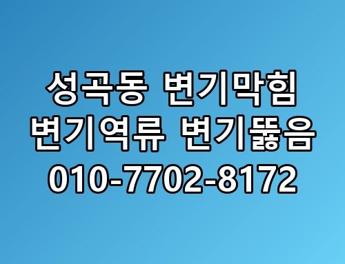 성곡동 변기막힘 변기역류 변기뚫음 010-7702-8172 한 끗 차이