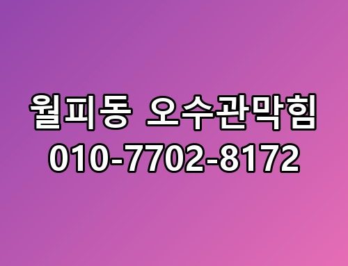 월피동 오수관막힘 010-7702-8172 실제로 보니 느낌이 다르네요