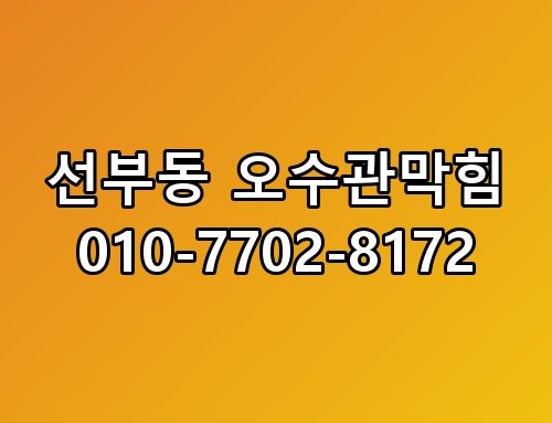 선부동 오수관막힘 010-7702-8172 생각보다 복잡하더라고요