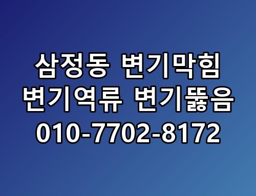 삼정동 변기막힘 변기역류 변기뚫음 010-7702-8172