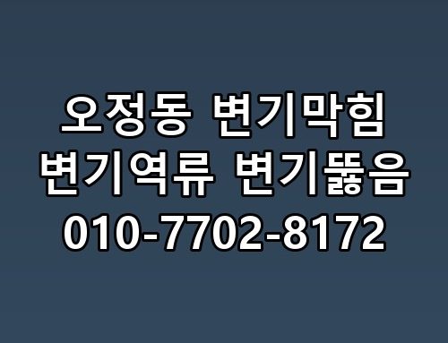오정동 변기막힘 변기역류 변기뚫음 010-7702-8172