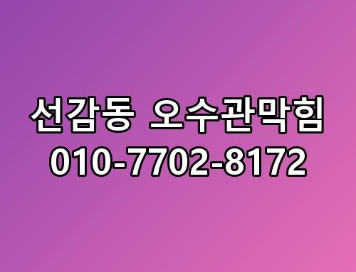 선감동 오수관막힘 010-7702-8172 지금 상황 정리해봤습니다