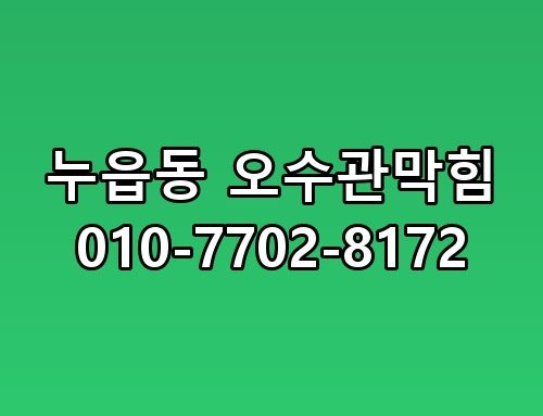 누읍동 오수관막힘 010-7702-8172 직접 확인해봤어요