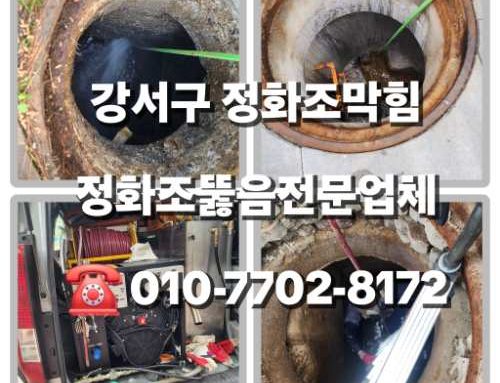 강서구정화조막힘