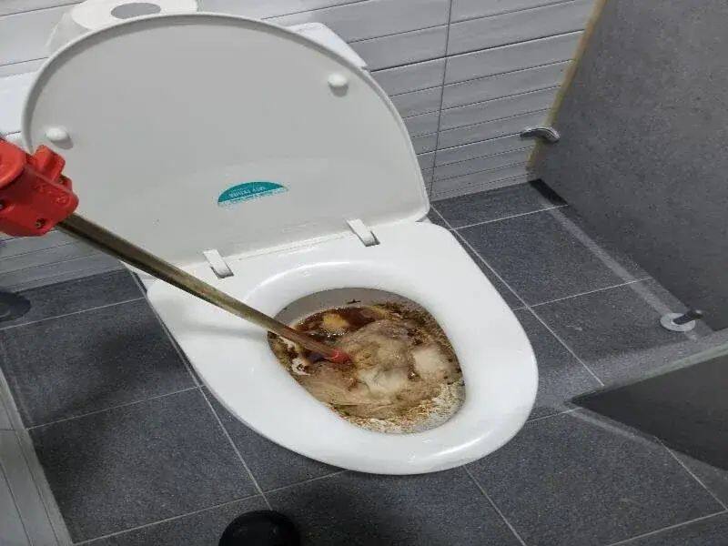 막힌변기