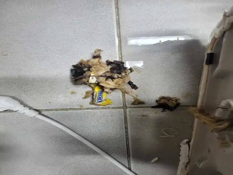 꺼낸이물질