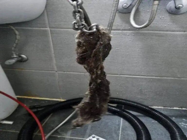 인천 부평구 배수구에서 나온 머리카락
