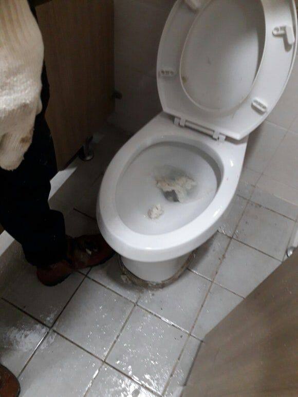 포천 변기에 걸려 나온 휴지